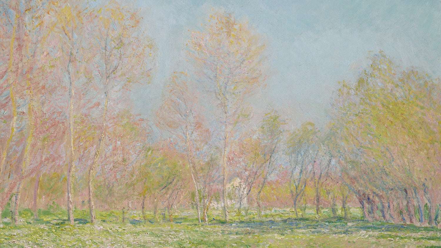 Spring