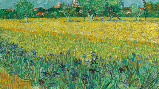 Field with Irises near Arles, 1888