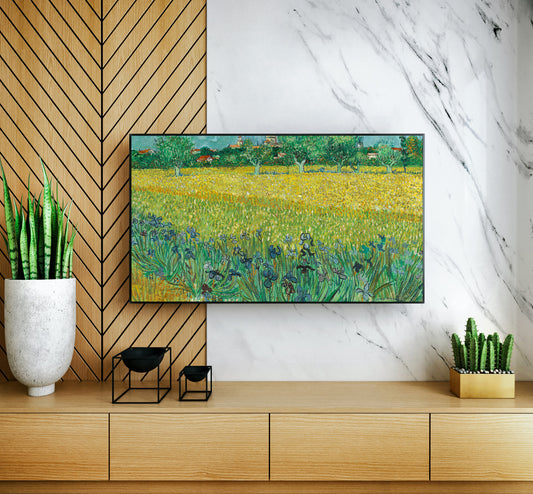 Field with Irises near Arles, 1888