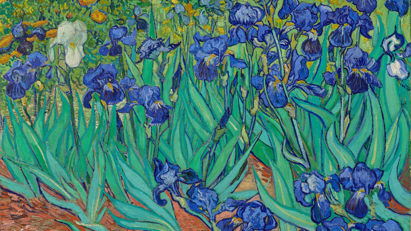 Irises, 1889