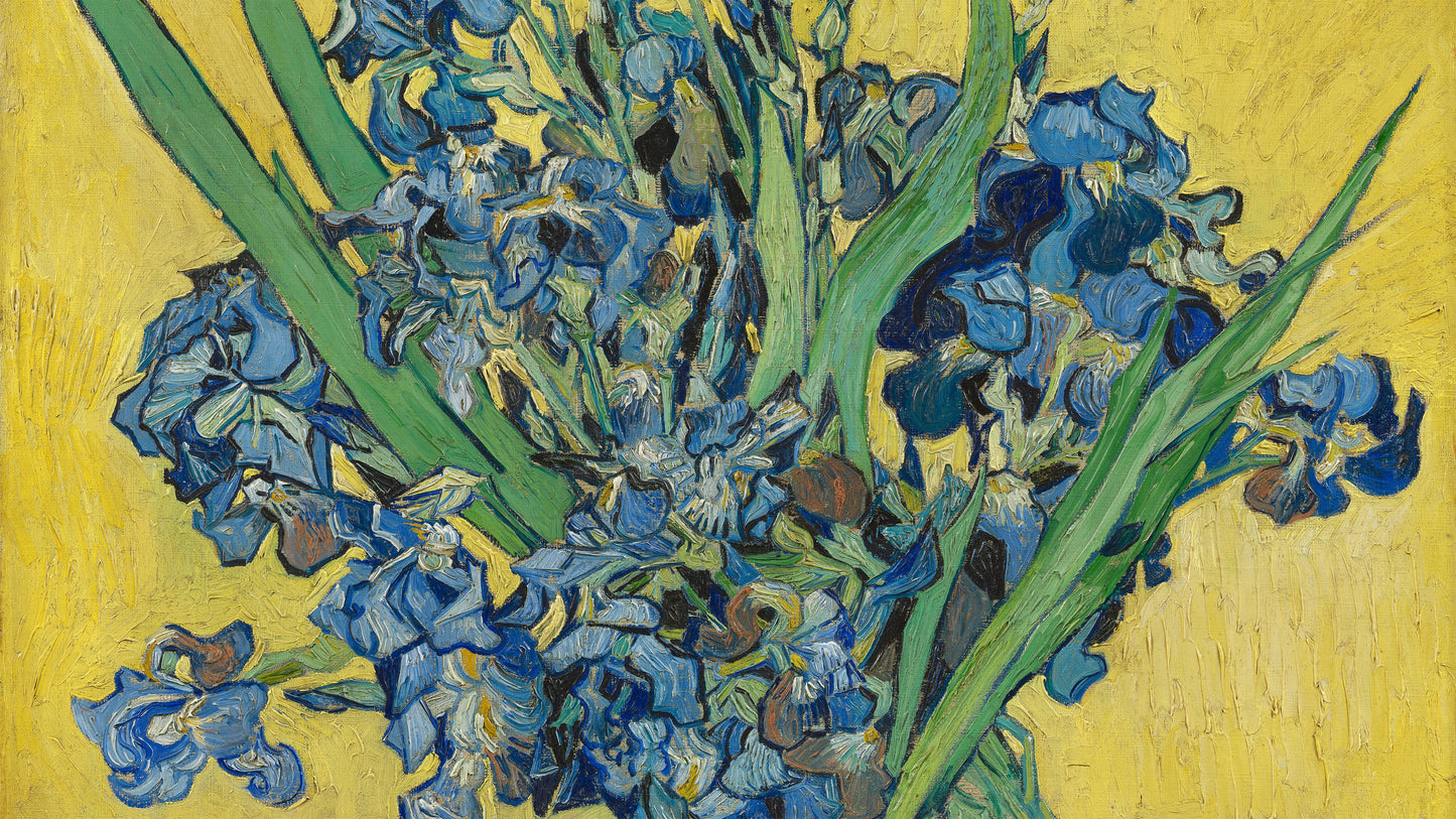 (8K) Irises, 1890