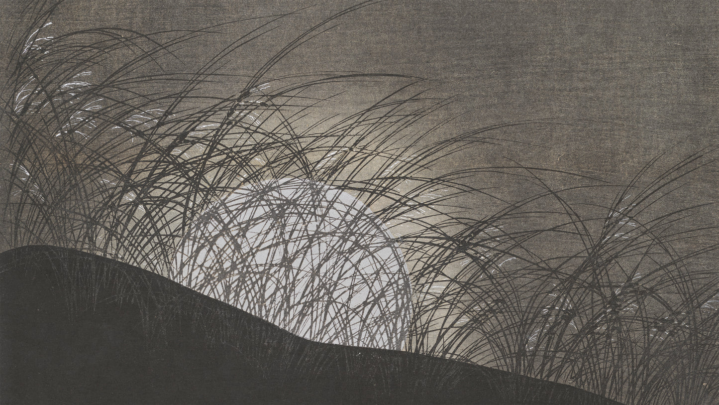 Moon, 1900