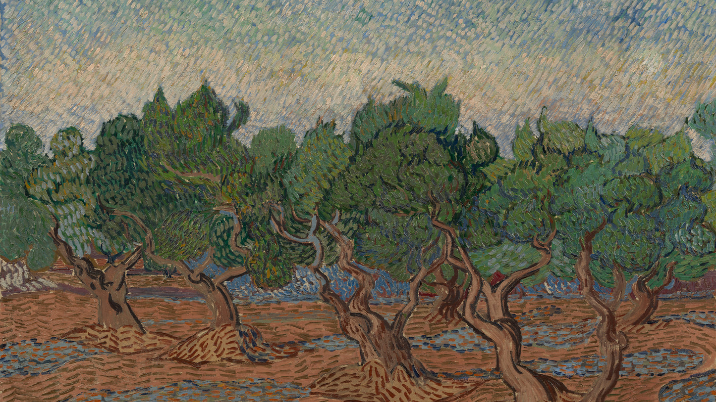 Olive Grove, 1889