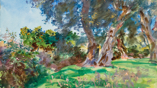 Olive Trees, Corfu, 1909