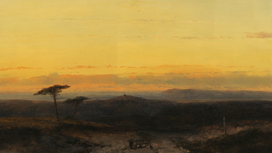 Panoramic Heath Landscape with Sheep in Foreground