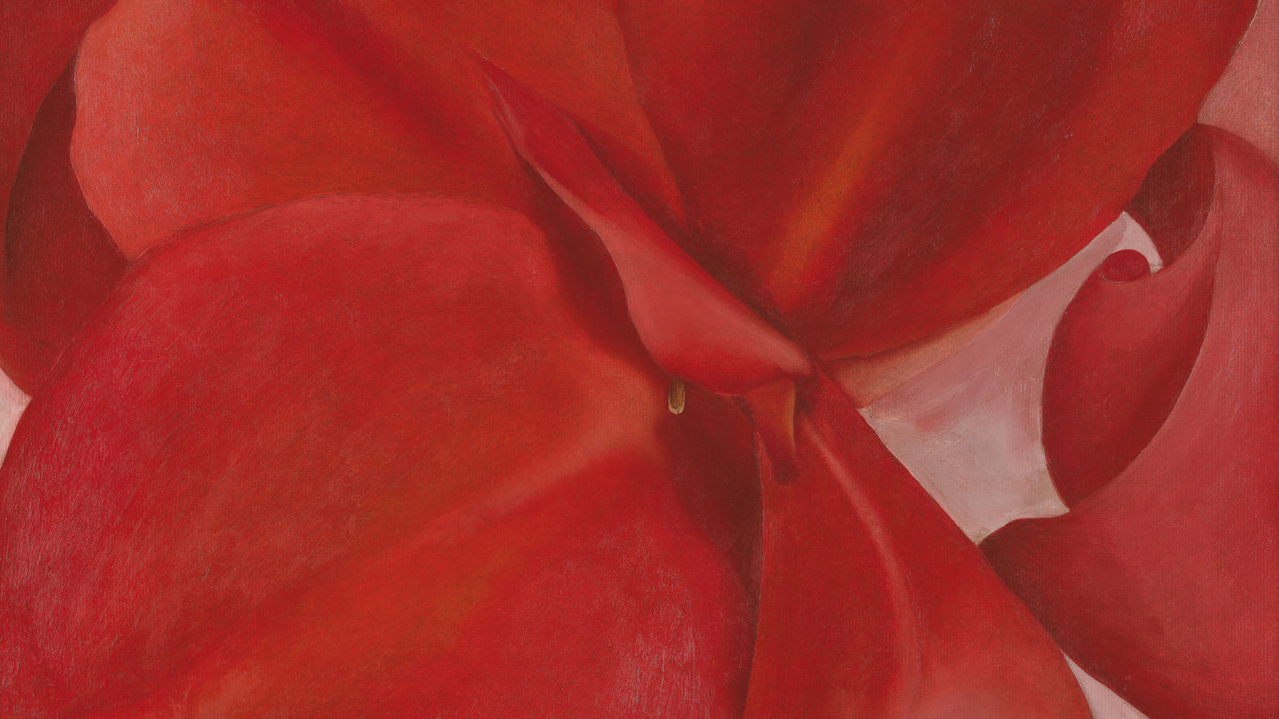 Red Cannas, 1927