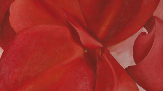Red Cannas, 1927