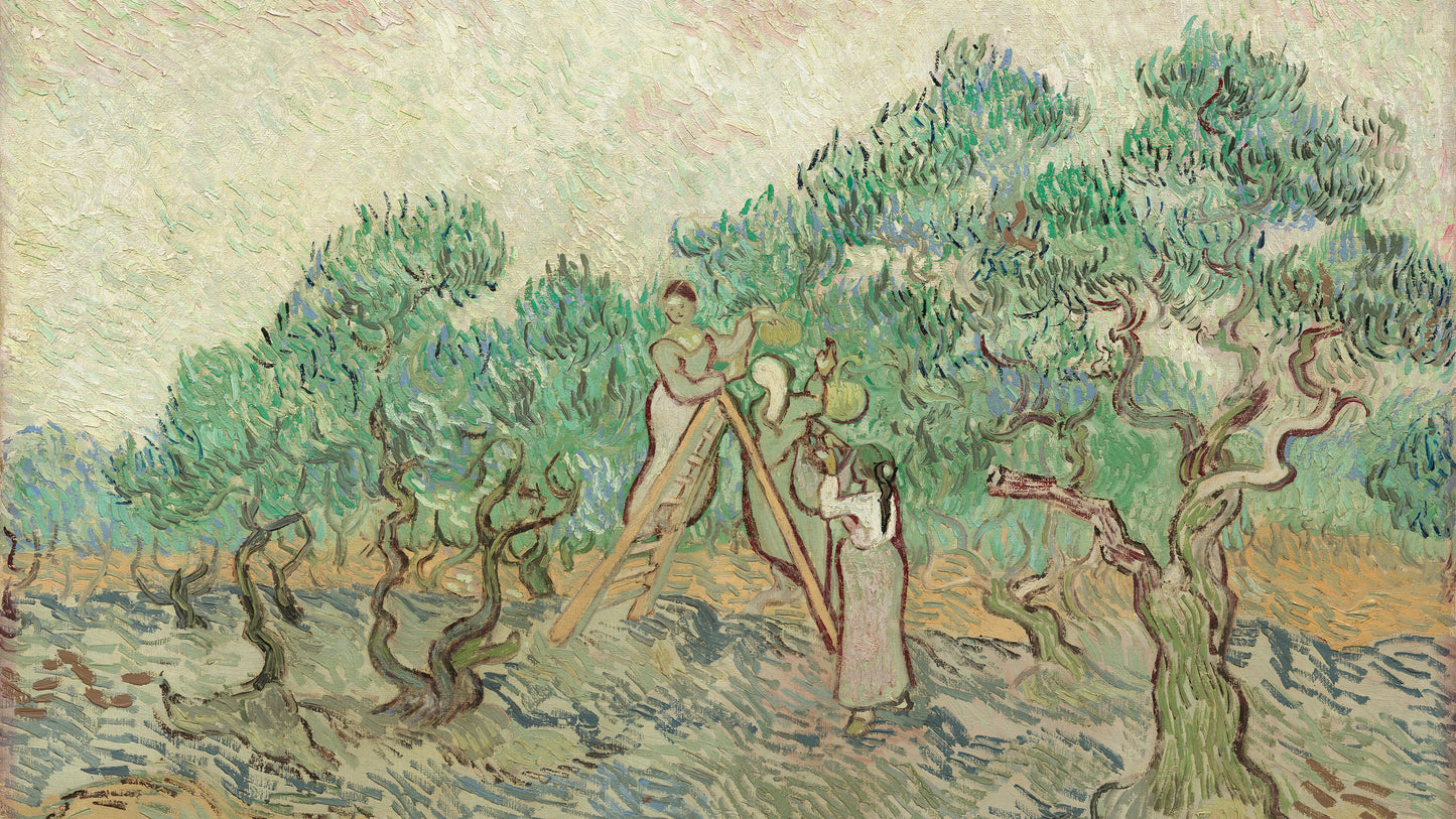The Olive Orchard, 1889