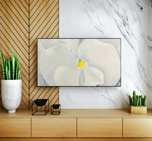 White Pansy, 1927
