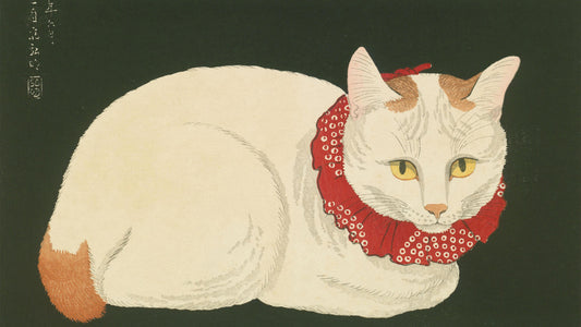 White Cat, 1921-24