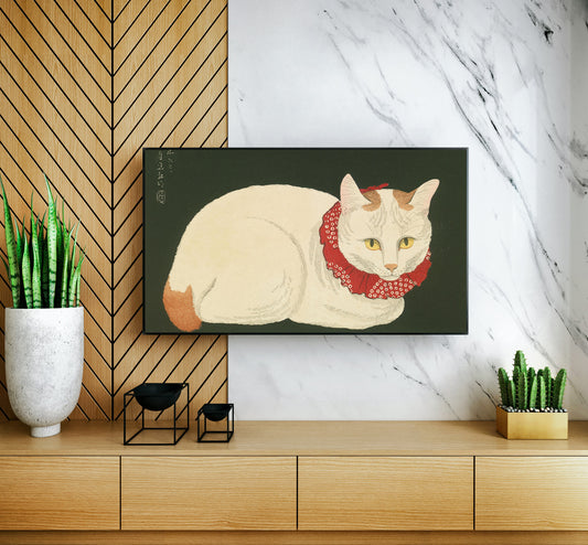 White Cat, 1921-24